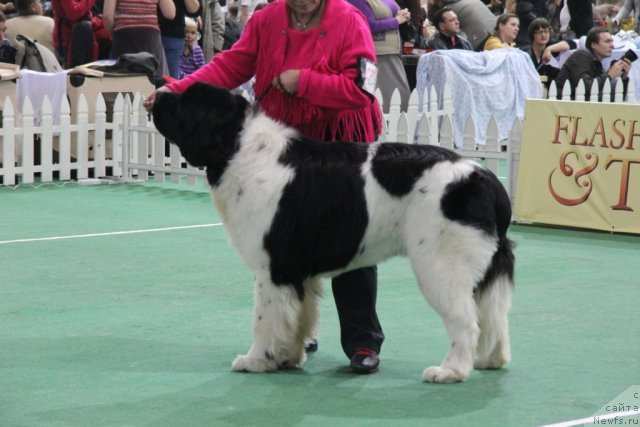 Фотография № 81578