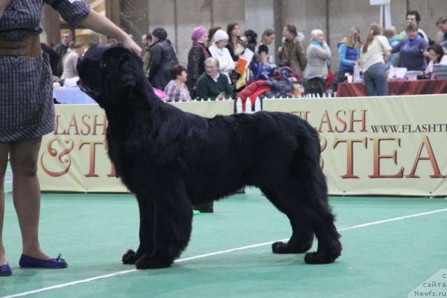 Фотография № 81580