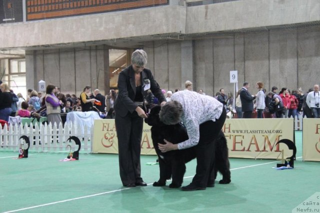 Фотография № 81584