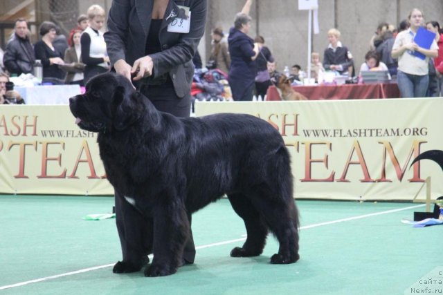 Фотография № 81586