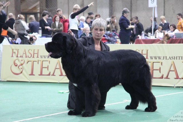 Фотография № 81588