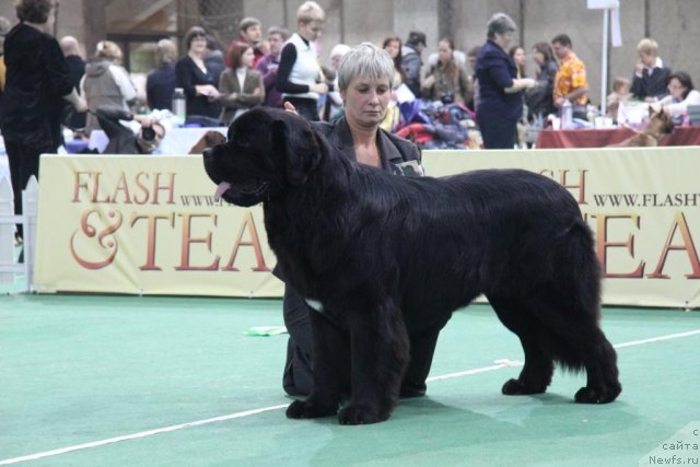 Фотография № 81589