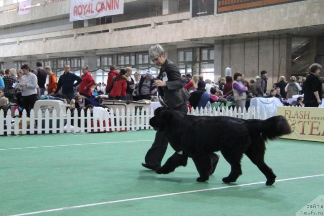 Фотография № 81592