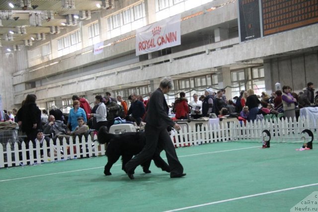 Фотография № 81593