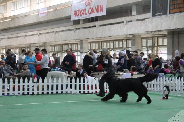 Фотография № 81594