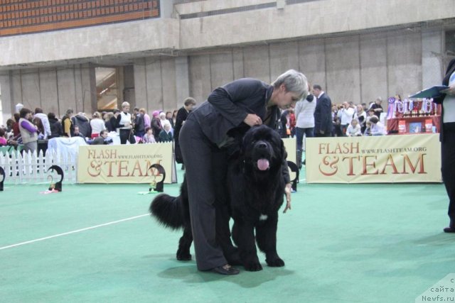 Фотография № 81595