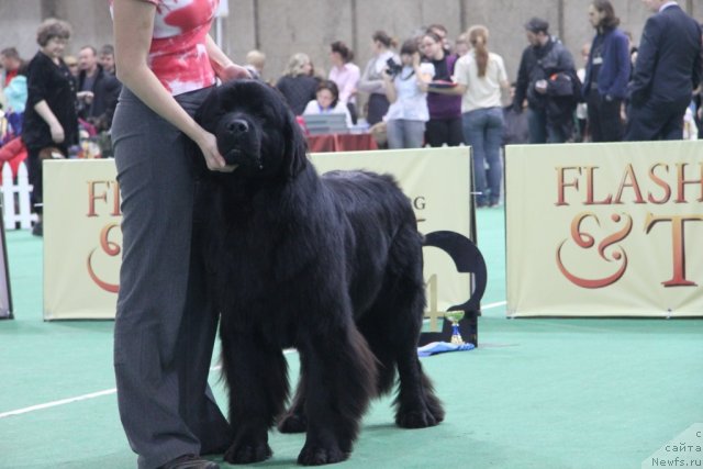 Фотография № 81598