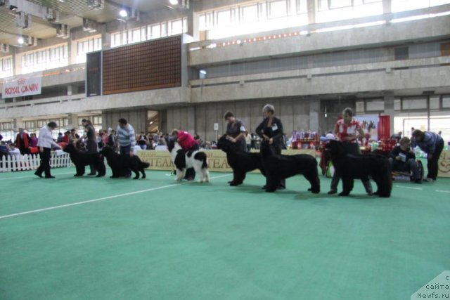 Фотография № 81599