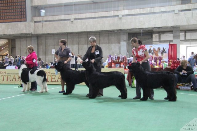 Фотография № 81600