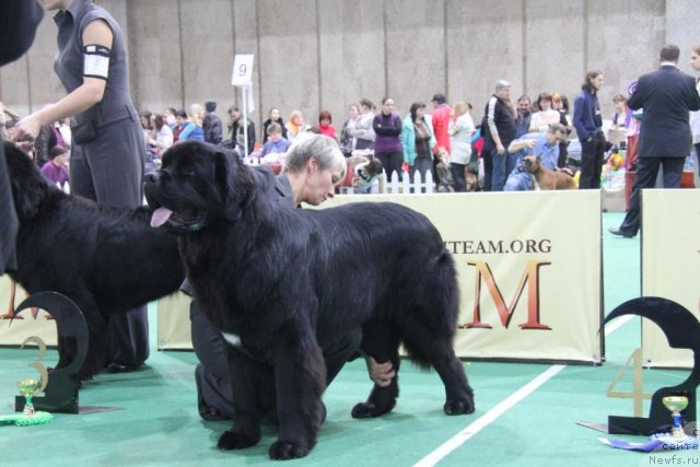 Фотография № 81603