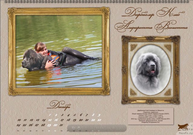 Фотография № 81616