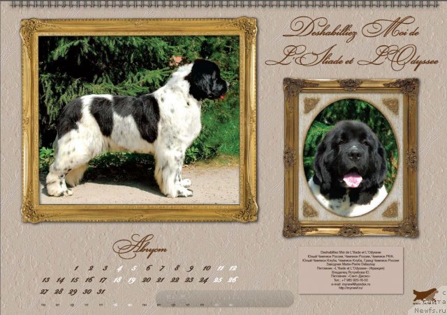 Фотография № 81617