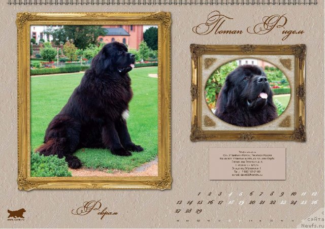 Фотография № 81622