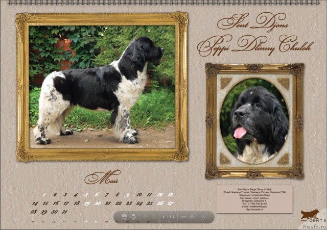 Фотография № 81624