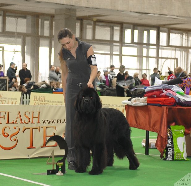 Фотография № 81633