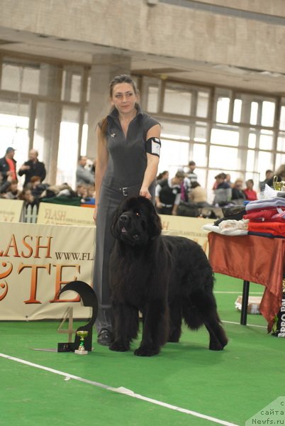 Фотография № 81634