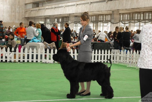 Фотография № 81636