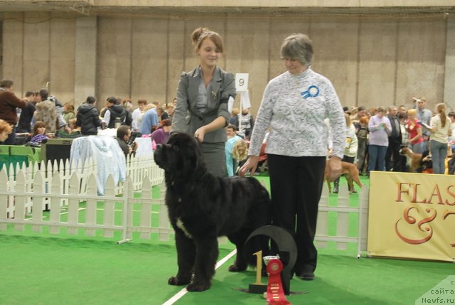 Фотография № 81638