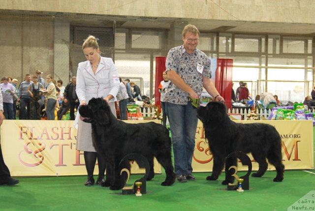 Фотография № 81642