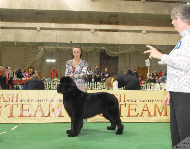 Фотография № 81647