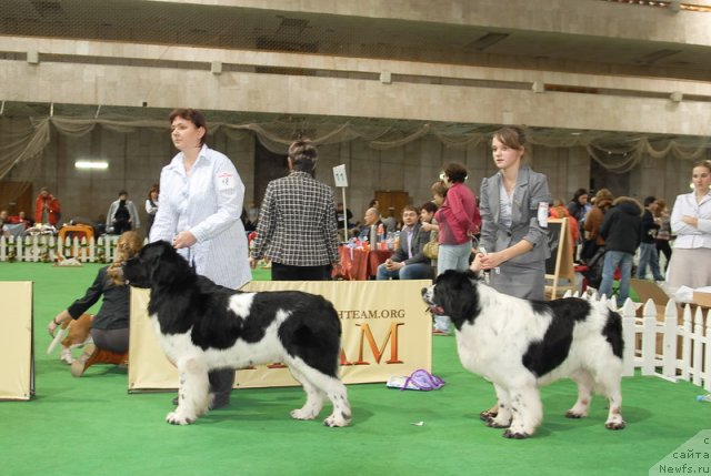 Фотография № 81648