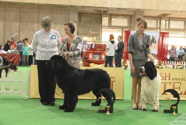 Фотография № 81649