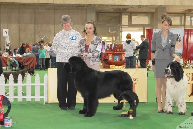 Фотография № 81650