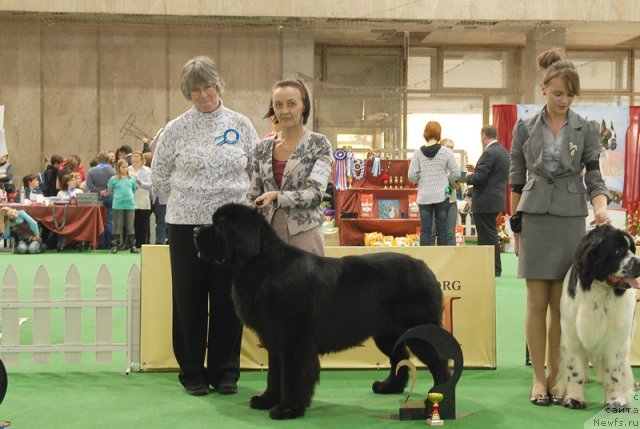 Фотография № 81651