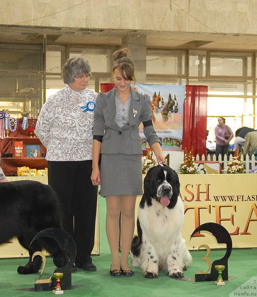 Фотография № 81653