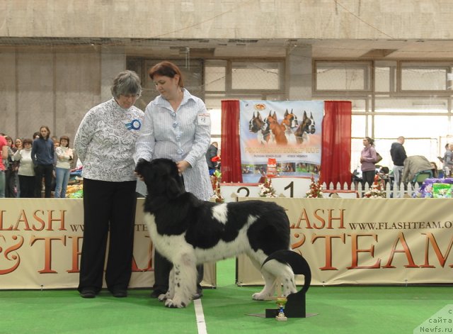 Фотография № 81654