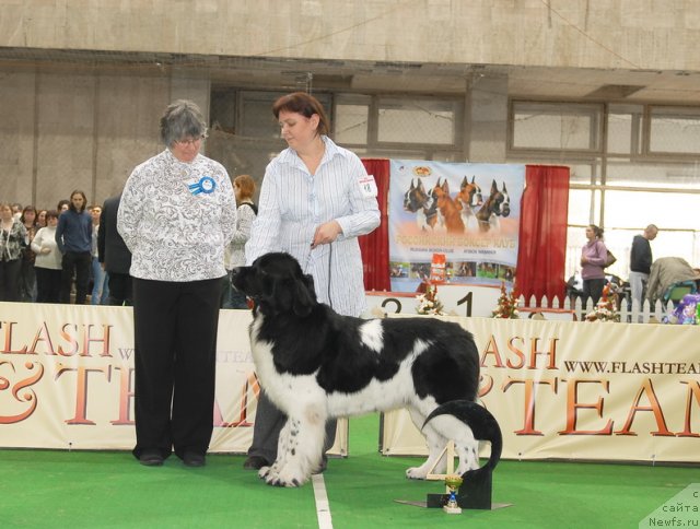 Фотография № 81655