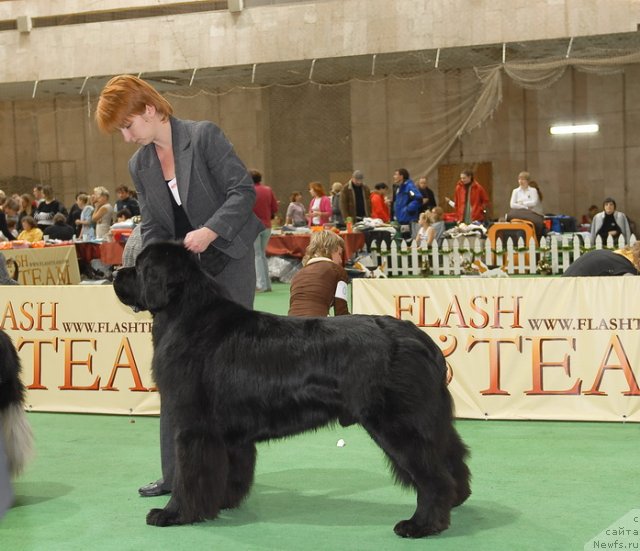 Фотография № 81665