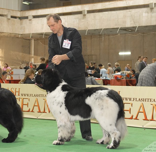 Фотография № 81666