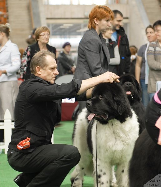 Фотография № 81667