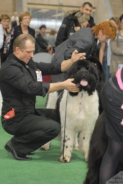 Фотография № 81668