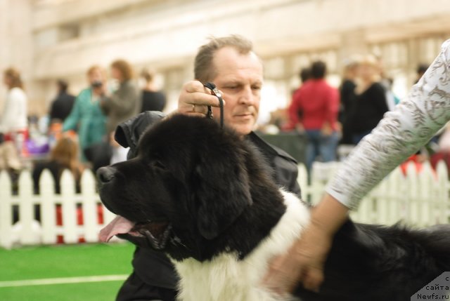 Фотография № 81675