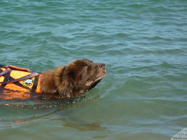 Фотография № 81676