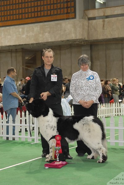 Фотография № 81685