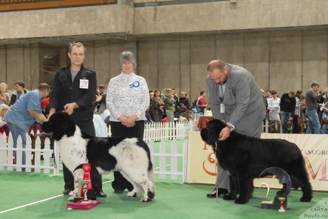 Фотография № 81687