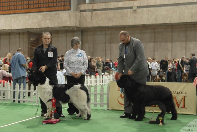 Фотография № 81688