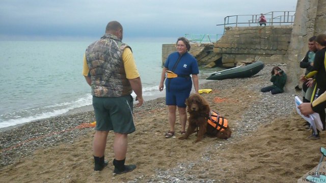 Фото: ньюфаундленд YUdjin s Berega Dona (Юджин с Берега Дона), Liliana Rahmatova (Лилиана Рахматова), YUriy Malev (Юрий Малев)