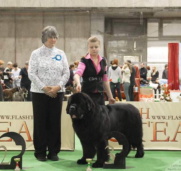 Фотография № 81695