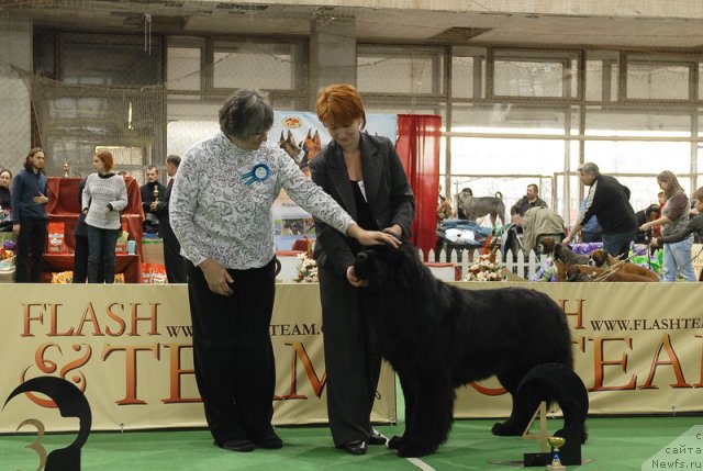 Фотография № 81696