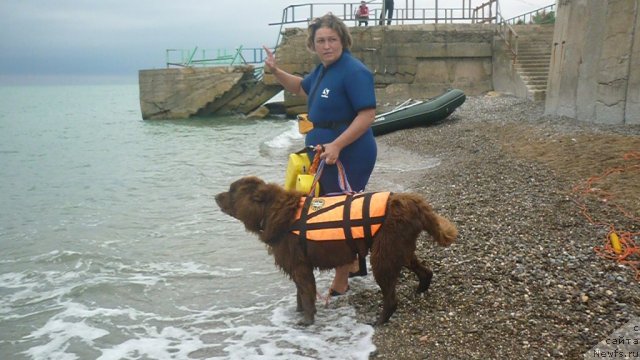 Фотография № 81698