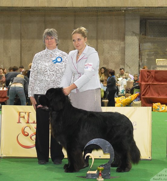 Фотография № 81701