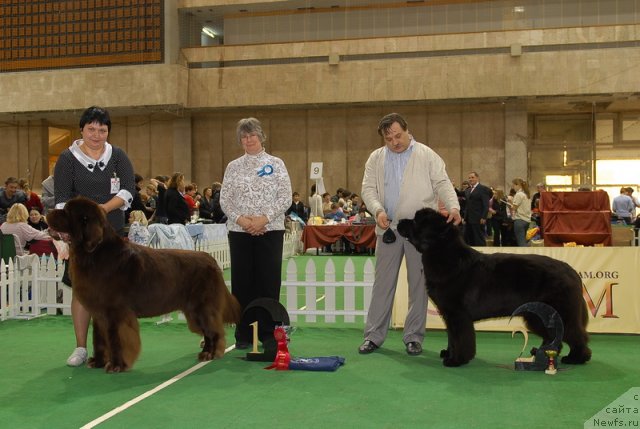 Фотография № 81708