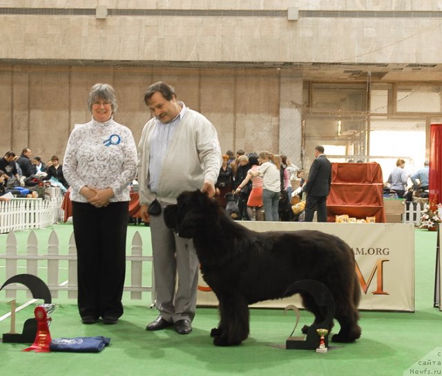 Фотография № 81710