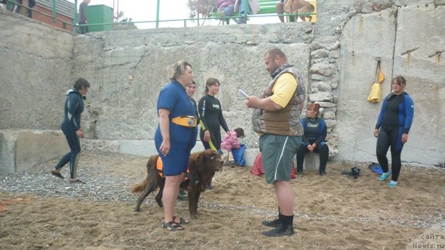 Фото: ньюфаундленд YUdjin s Berega Dona (Юджин с Берега Дона), Liliana Rahmatova (Лилиана Рахматова), YUriy Malev (Юрий Малев)