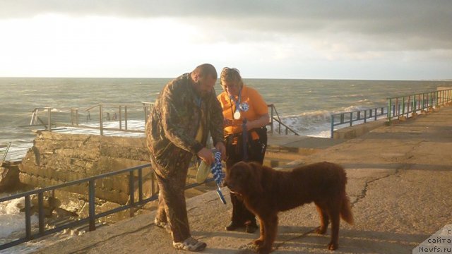 Фотография № 81718