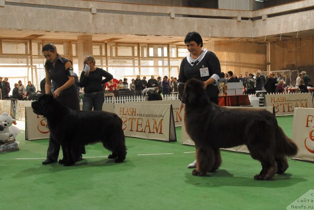 Фотография № 81726